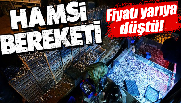 Hamsi bereketi: Fiyatı yarıya düştü