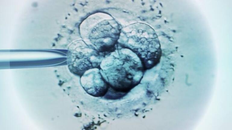 20 yıl önce dondurulan embriyoyla çocuk sahibi oldular