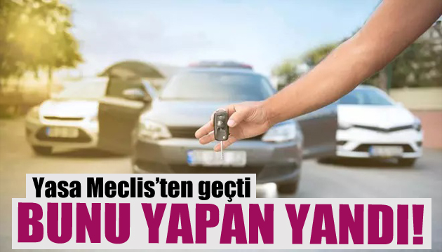 Yasa Meclis ten geçti! Bunu yapan yandı