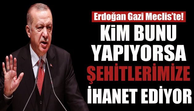 Erdoğan: Kimse bu şanlı mücadeleyi önemsizleştiremez
