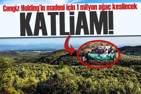 Kazdağları nda 1 milyon ağaç kesilecek! Çevreciler grevde: Üstü altından değerlidir