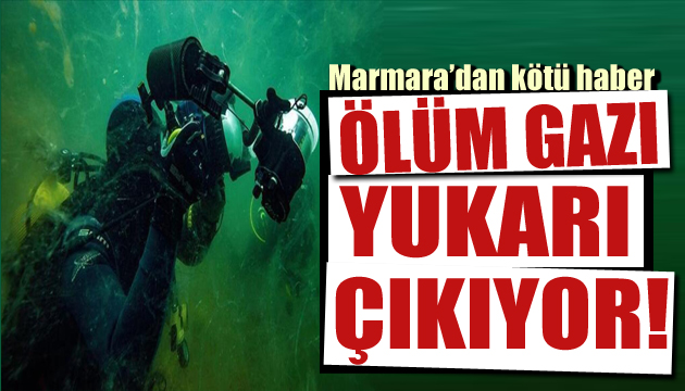 Marmara Denizi nde ölüm gazı yukarı çıkıyor