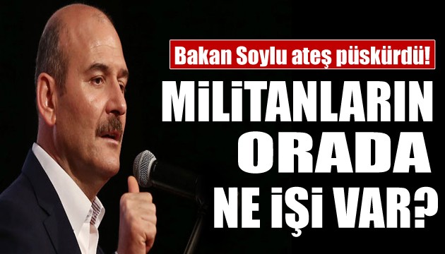 Bakan Soylu'dan çok sert tepki: Militanların orada ne işi var?