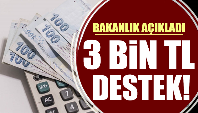 Bakanlık açıkladı: 3 bin TL destek