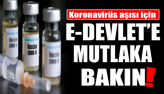 Koronavirüs aşıları geldi! Plan belli oldu