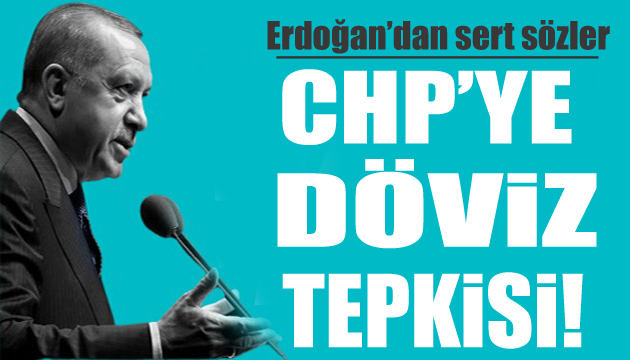 Cumhurbaşkanı Erdoğan dan CHP ye döviz tepkisi