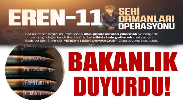 Bakanlık duyurdu: Operasyon başlatıldı