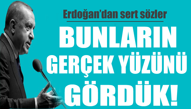 Cumhurbaşkanı Erdoğan: Bunların gerçek yüzünü gördük!