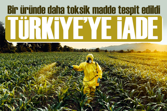 Bir ülkeden daha Türkiye ye iade: Kuru incirlerde toksik madde tespit edildi