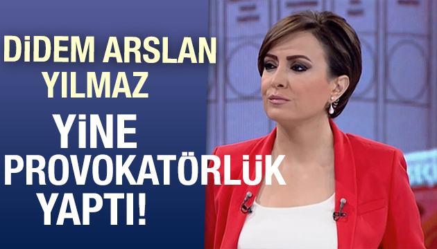 Didem Arslan Yılmaz yine provokatörlük yaptı