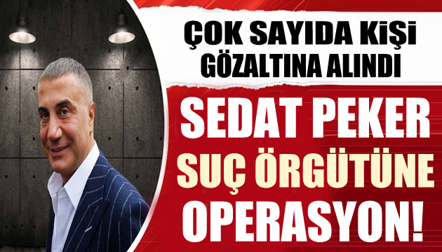 Sedat Peker suç örgütüne operasyon