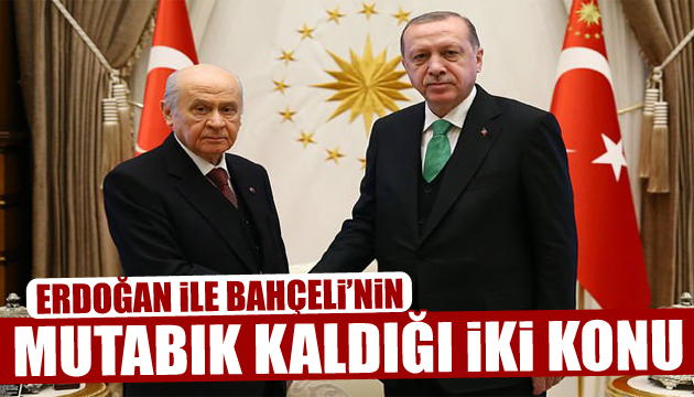 Erdoğan-Bahçeli görüşmesinin perde arkası! Neler konuşuldu?