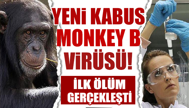 Yeni kabus: Monkey B virüsü!