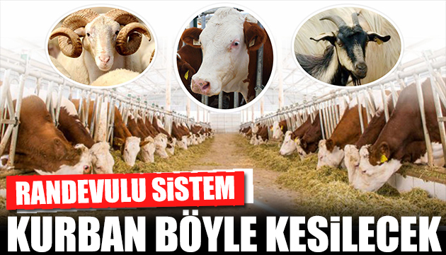 Kurban kesiminde  yeni normal : Randevuyla yapılacak