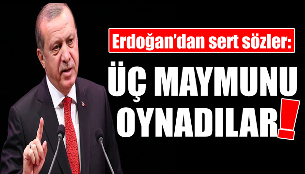 Cumhurbaşkanı Erdoğan dan sert çıkış: Üç maymunu oynadılar!