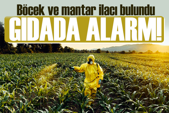 Gıdada alarm! Bu kez Almanya iade için düğmeye bastı: Türkiye deki tarım ürünlerinde kriz
