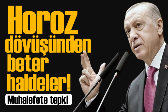 Erdoğan dan muhalefete tepki: Horoz dövüşünün bile adabı var