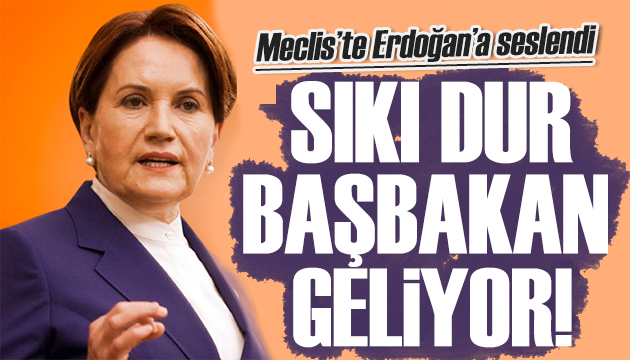 Akşener yine ateş püskürdü: Rant sevdasına bakar mısınız?