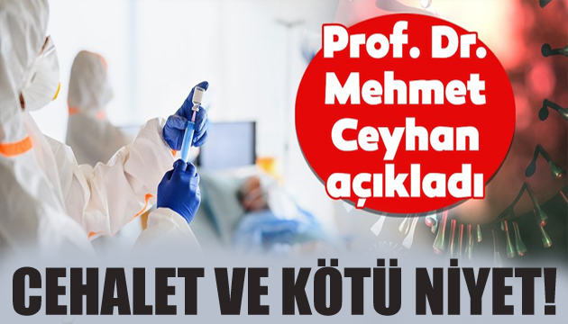 Prof. Dr. Ceyhan dan tepki: Cehalet!