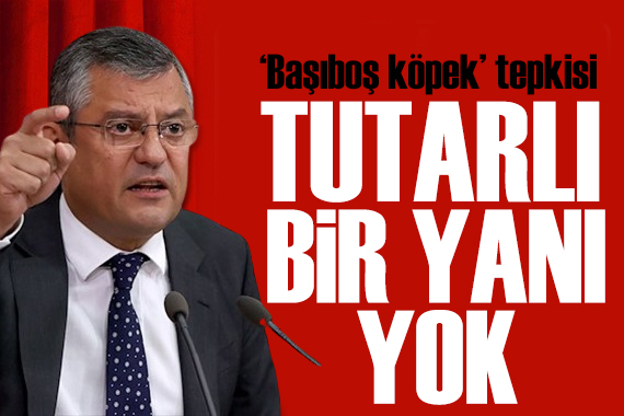 Özgür Özel den sokak hayvanları tepkisi: Tutarlı bir yanı yok