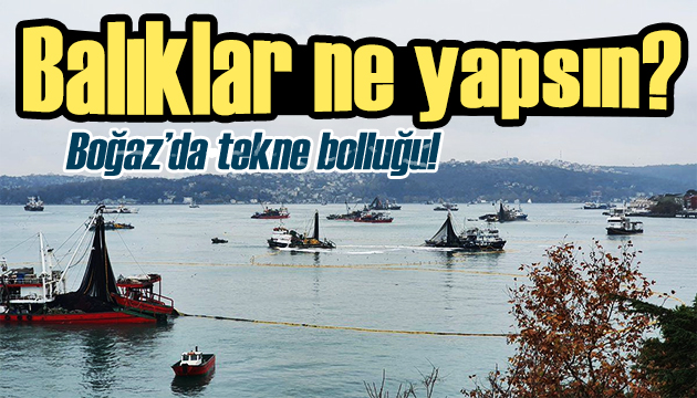 Boğaz da tekne bolluğu! Balıklar ne yapsın?