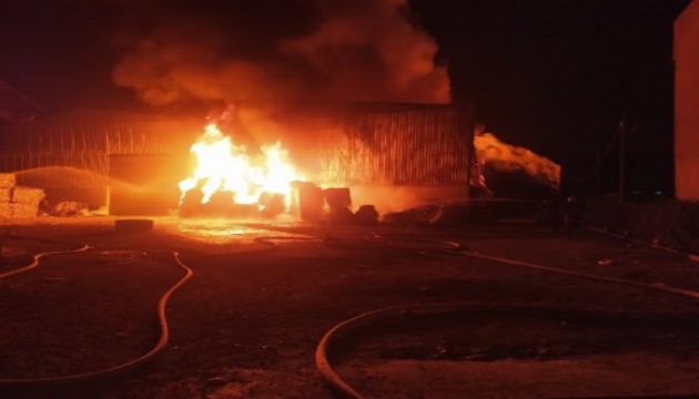 Adana'da korkutan yangın