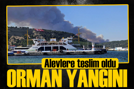 Çanakkale de yangınla mücadele sürüyor! Valilikten açıklama