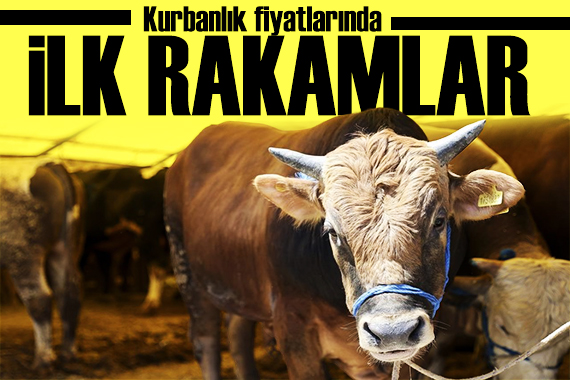 Ali Erbaş açıkladı! Kurbanlık fiyatları belli oldu: İşte illere göre fiyatlar