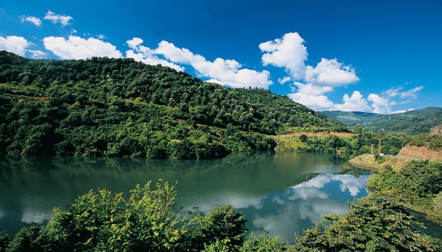 Yuvacık Barajı'nda sevindiren haber
