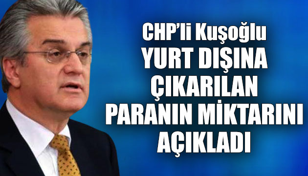 CHP’li Bülent Kuşoğlu, Türkiye’den yurt dışına çıkan paranın miktarını açıkladı
