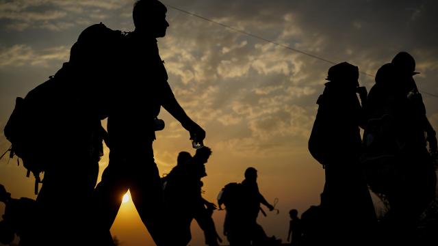 167 Afgan göçmen yakalandı