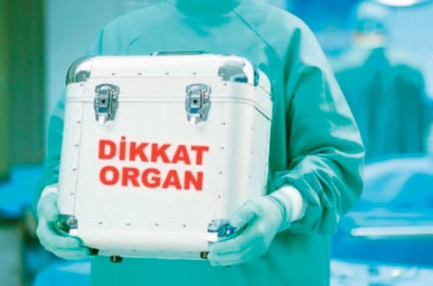 Organ naklinde ilk üçteyiz