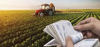 Tarımsal destek ödemeleri bugün yapılacak