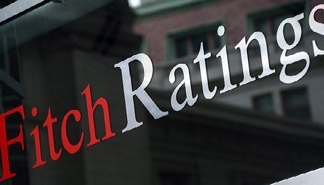  Fitch  Kıdemli Direktörü Rawkins: