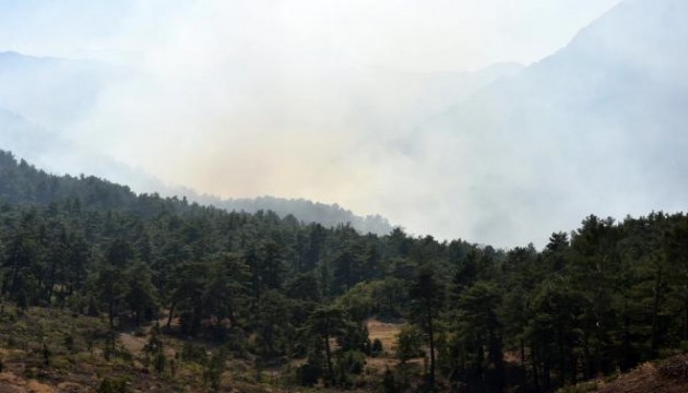 Antalya'da korkutan yangın