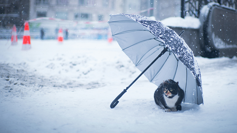 Meteoroloji uyardı: Kış kapıda!