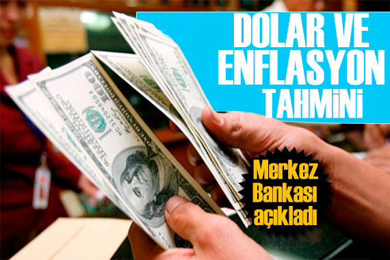 Merkez Bankası açıkladı: Yıl sonu dolar ve enflasyon beklentisi değişti