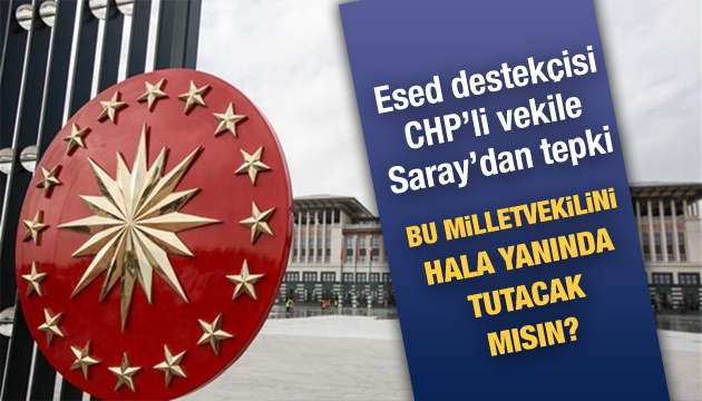 Saray dan  Esad ı tutarım  diyen CHP li vekile tepki