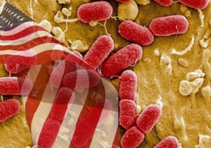 Antibiyotiklere dirençli bakteri iki can aldı!