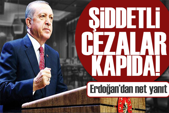 Cumhurbaşkanı Erdoğan: Şiddetli cezalar uygulayacağız
