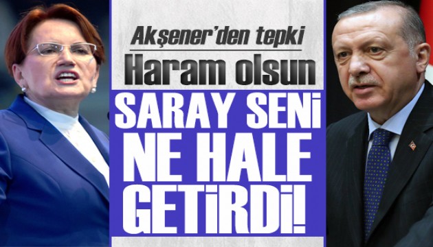 Akşener'den Erdoğan'a tepki: Saray seni ne hale getirdi!