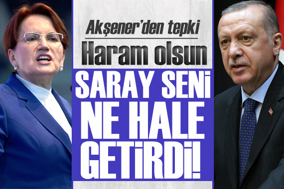 Akşener den Erdoğan a tepki: Saray seni ne hale getirdi!