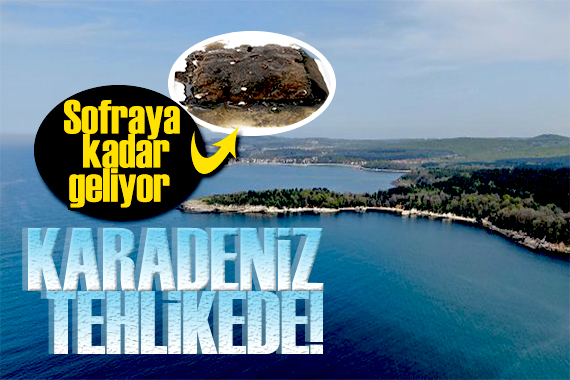 Karadeniz de alarm! Tehlike çanları çalıyor