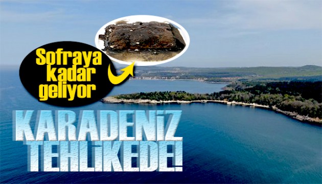 Karadeniz'de alarm! Tehlike çanları çalıyor
