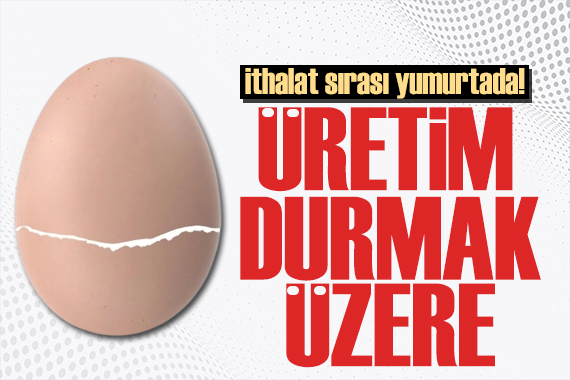 İthalat sırası yumurtada! Üreticiler isyan etti