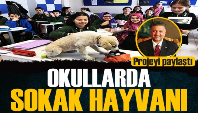 Tunay Demirtaş paylaştı: Her okula sokak hayvanı