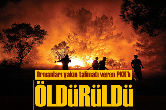 Orman yangınlarında talimatı veren PKK lı etkisiz!
