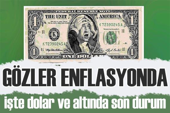 Gözler Merkez de! İşte dolarda son durum