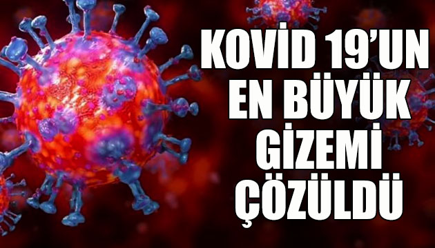 Kovid 19 un en büyük gizemi çözüldü!