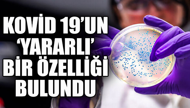 Kovid 19 un ‘yararlı’ bir özelliği bulundu